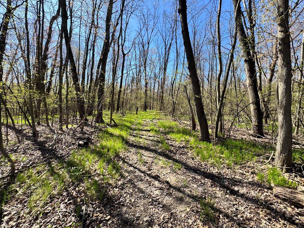Lincoln Twp, MI 49349,V/L 3 Mile Road