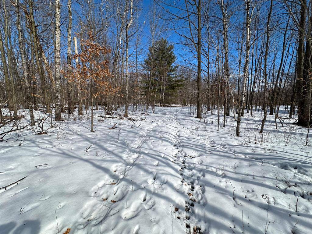 Mills Twp, MI 48642,10 V/L E Curtis Road