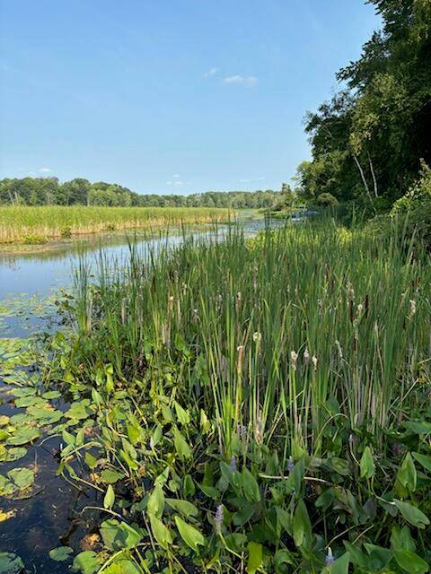 Martiny Twp, MI 49342,7908 Park Avenue