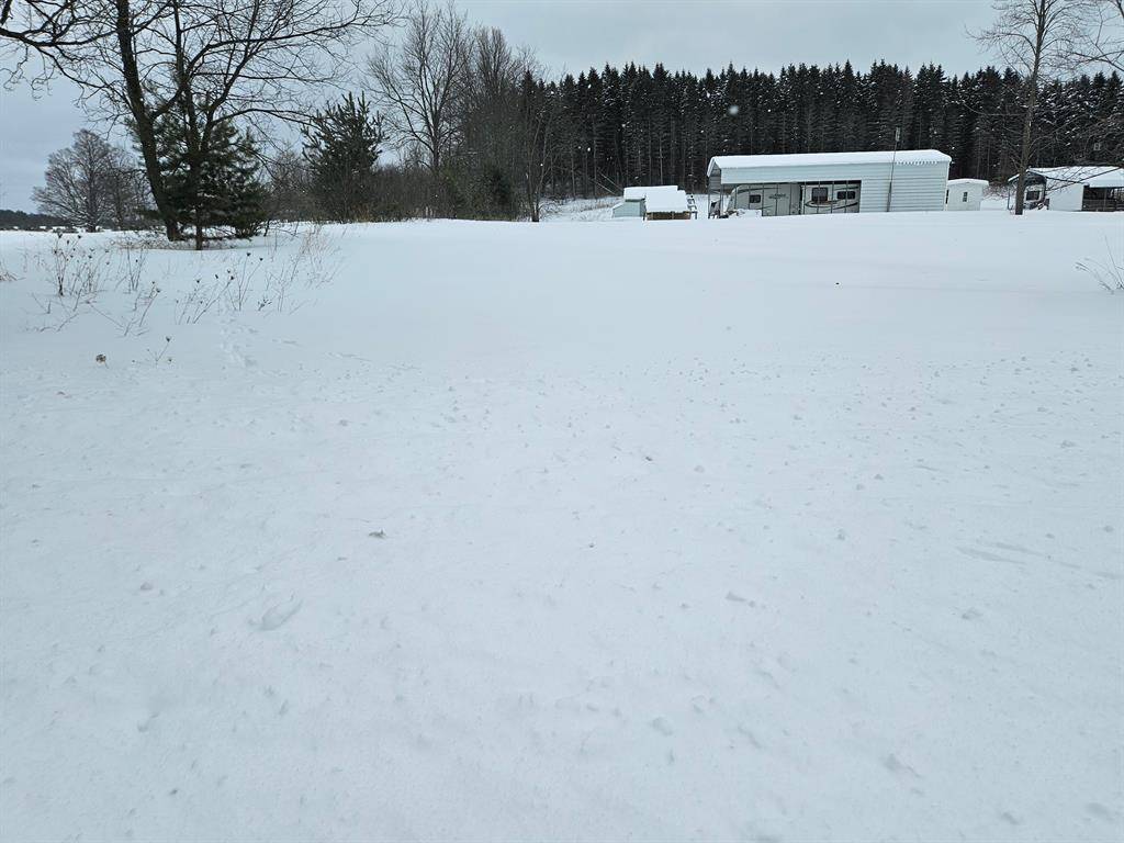 Colfax Twp, MI 49663,0V/L E 14 Road