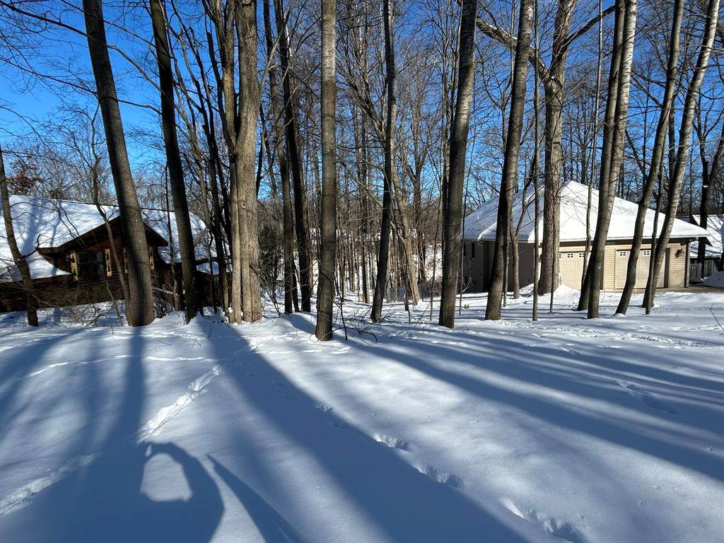 Morton Twp, MI 49346,11490 Alpine Road 43
