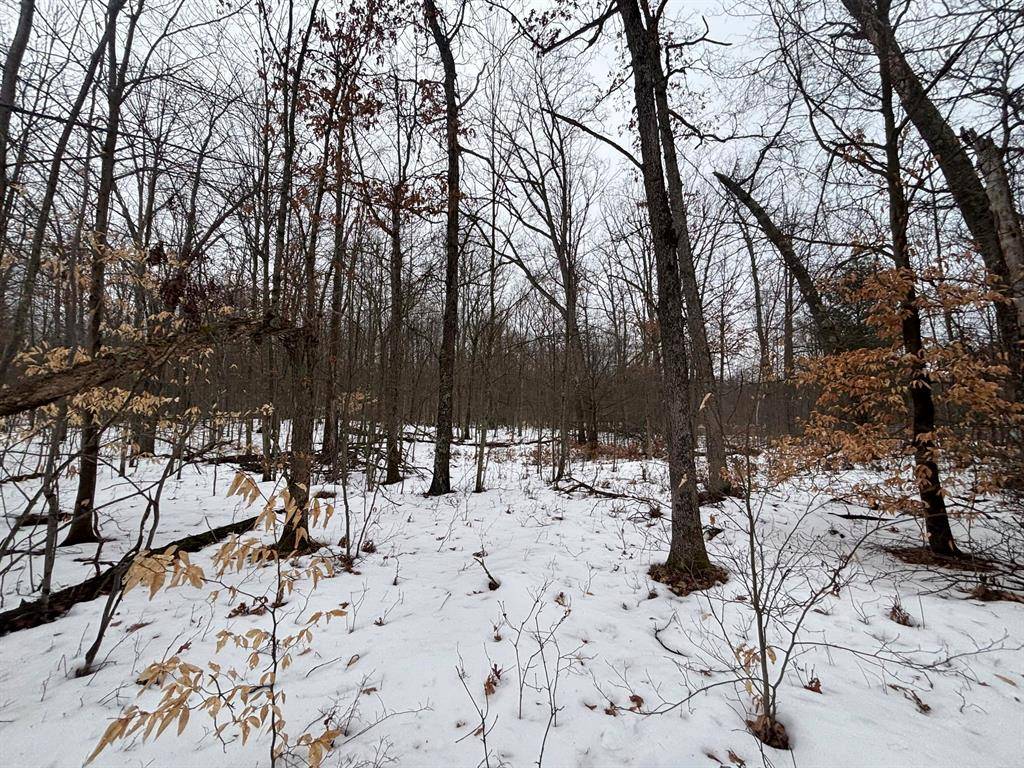 Merrill Twp, MI 49349,V/L 5A N Centerline Road