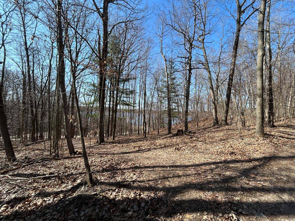 Belvidere Twp, MI 48886,Hill View Drive