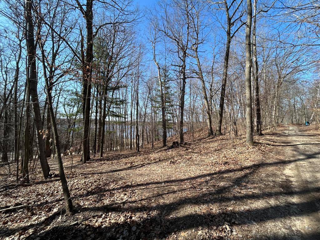 Belvidere Twp, MI 48886,Hill View Drive
