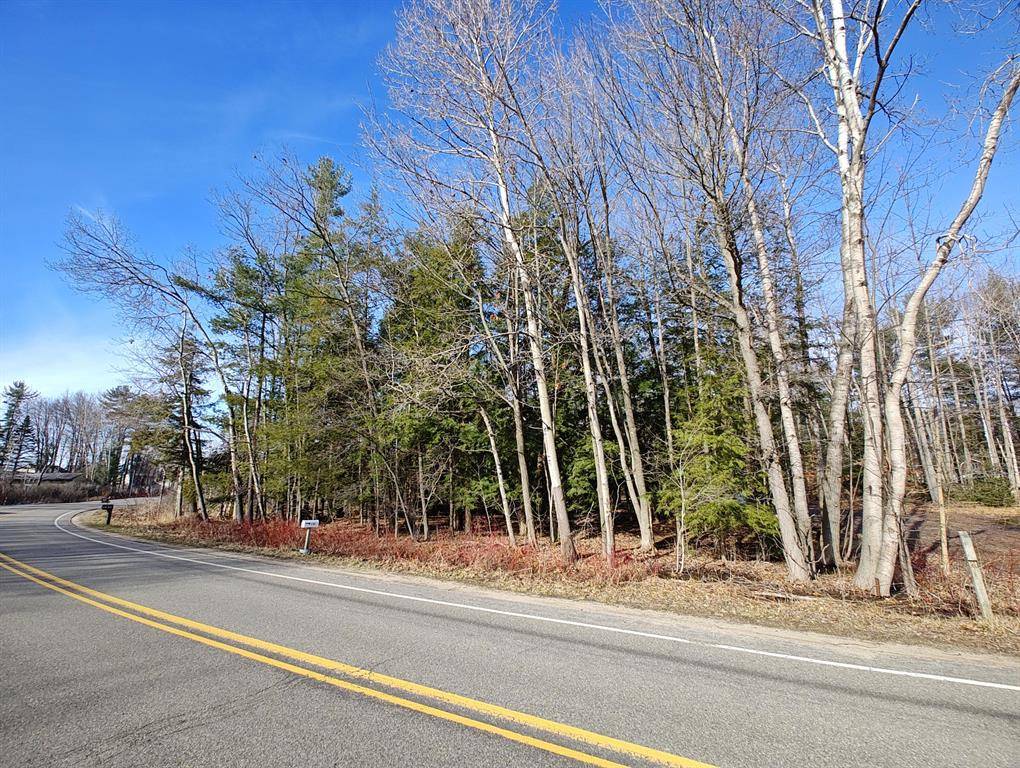 Selma Twp, MI 49601,VL W Lake Mitchell Drive