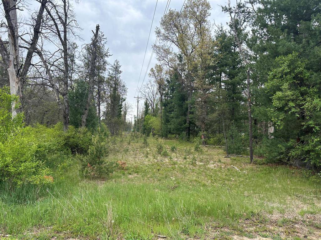 Yates Twp, MI 49642,00 S Forman Road