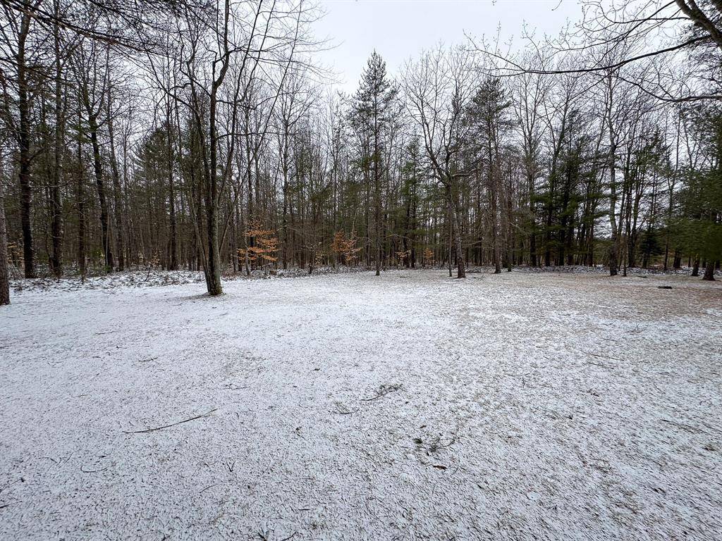 West Branch Twp, MI 49651,1614 E Walker Road