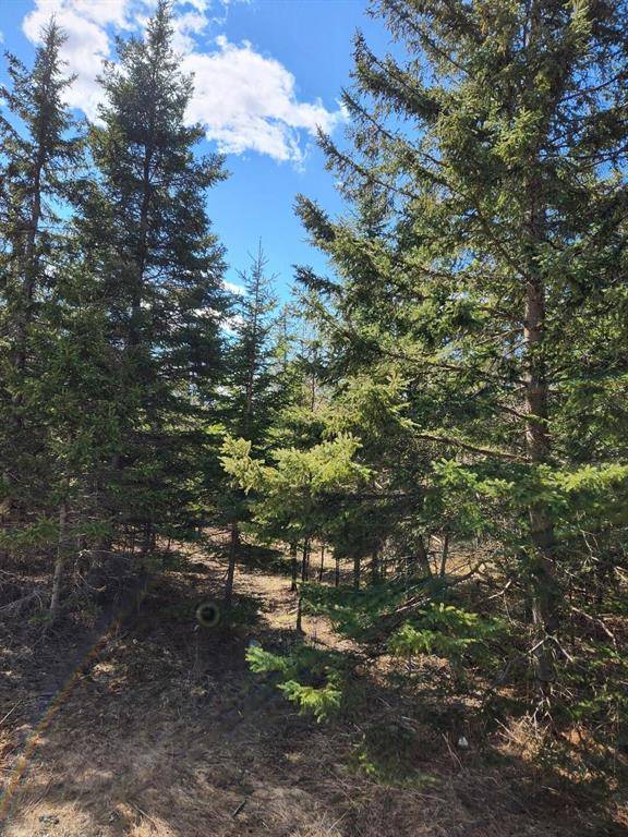 Boyne Valley Twp, MI 49713,46.6 Acres +/- Vacant Land US-131