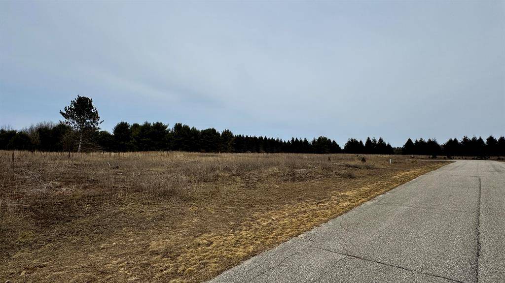 Cherry Grove Twp, MI 49601,Lot #22 Wedgewood Court