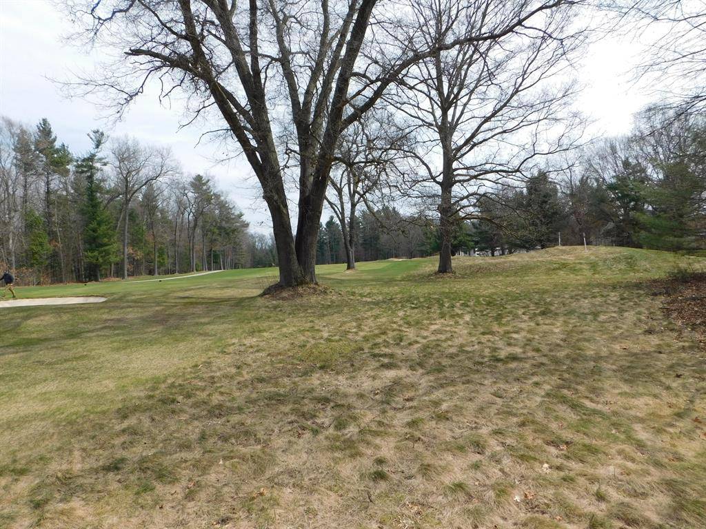 Cedar Creek Twp, MI 49457,DARCLIFF LN Lane lot 110