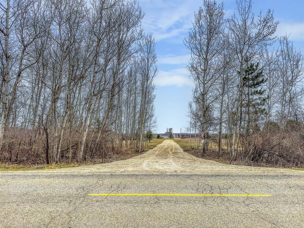 Chippeway Twp, MI 48858,8692 E Baseline Road