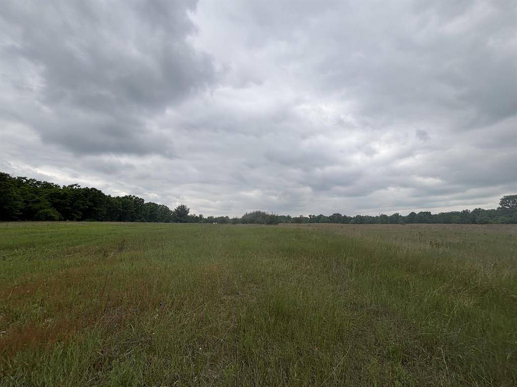 Merrill Twp, MI 49349,V/L 10A N Woodbridge Rd
