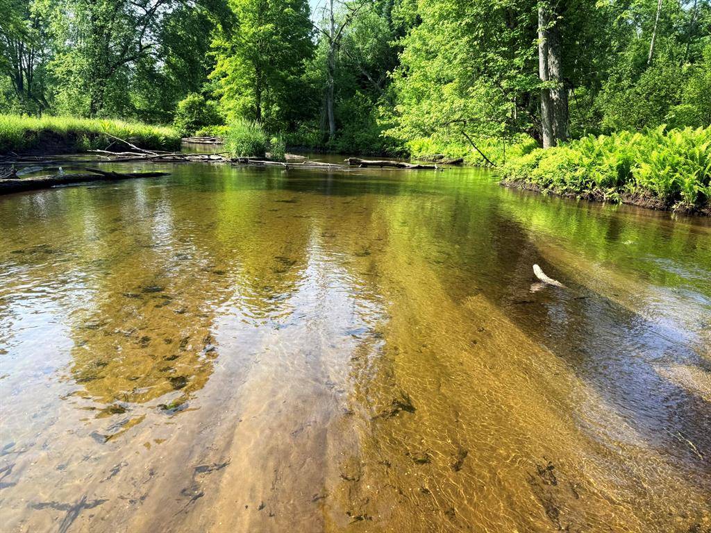Middle Branch Twp, MI 49665,17639 N 20th Avenue