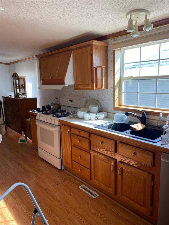 Fremont, MI 49412,1305 Pineview Lane