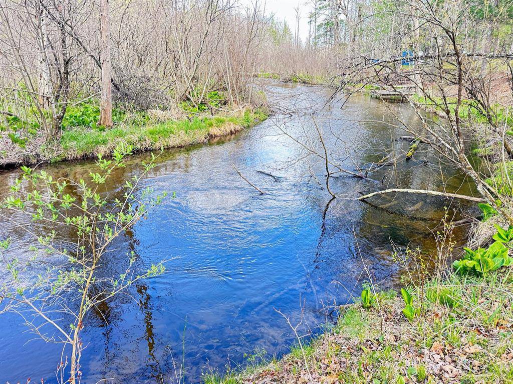 Pleasant Plains Twp, MI 49304,8811 S Greenwood Street