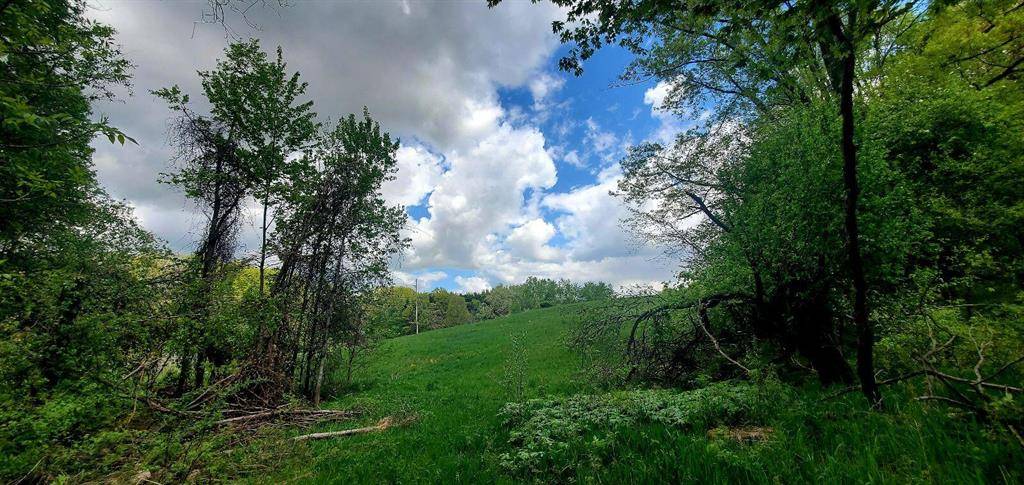 Ensley Twp, MI 49343,128th Street Modifier: Parcel A