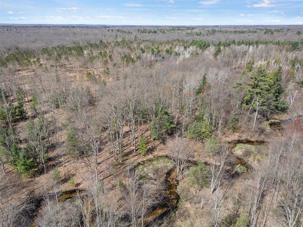 Branch Twp, MI 49410,00# N Benson Road