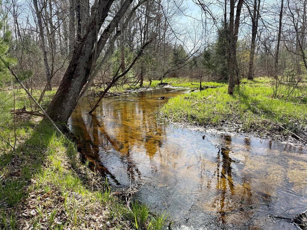 Branch Twp, MI 49410,00# N Benson Road