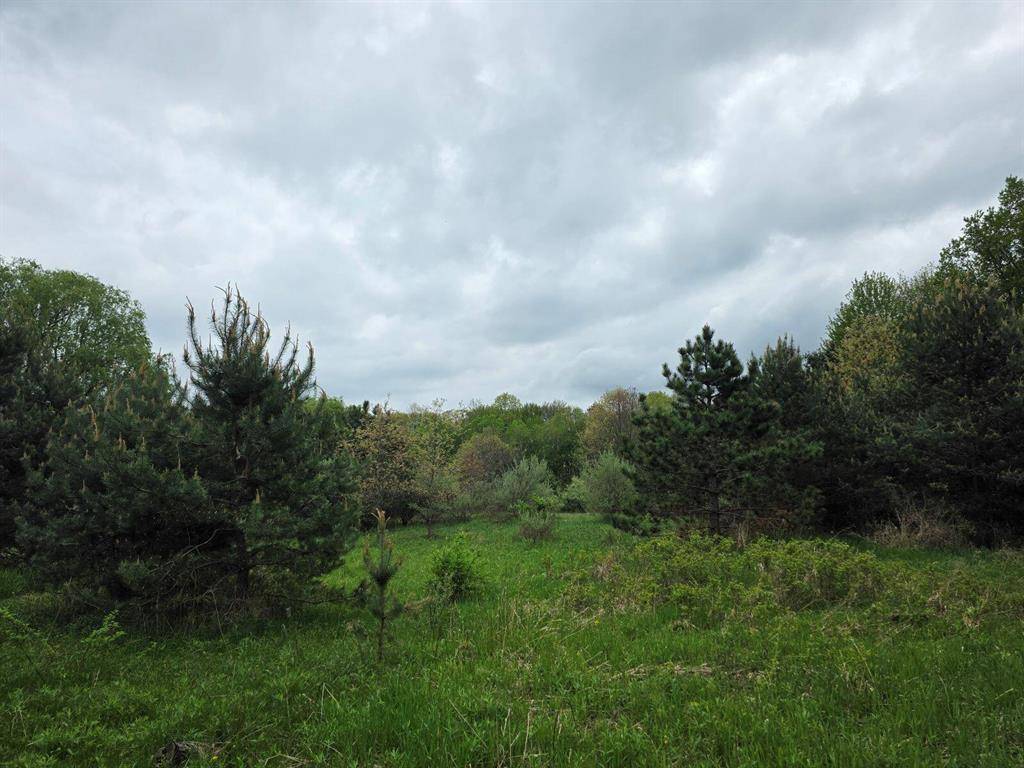 Holton Twp, MI 49425,Holton Road Modifier: Par 510
