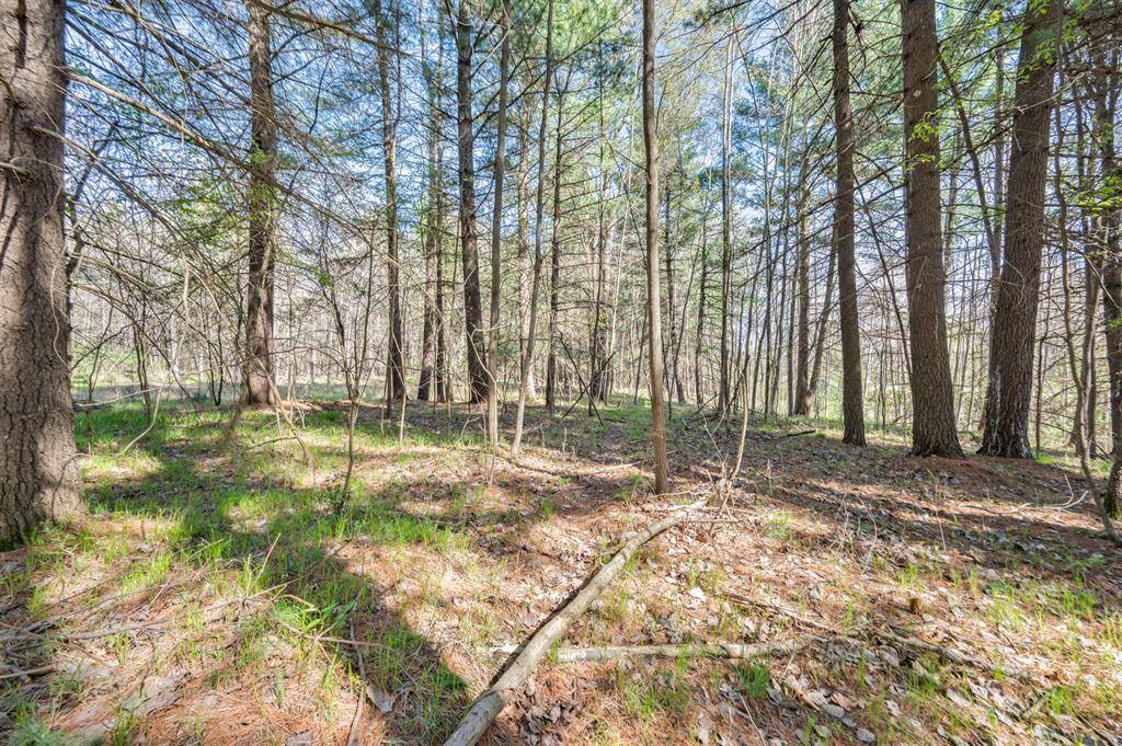 Richmond Twp, MI 49639,8.5 Acre V/L Three Mile Road Parcels A-L