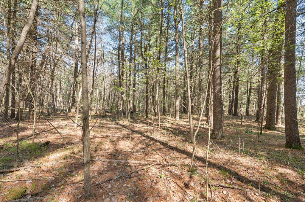 Richmond Twp, MI 49639,8.5 Acre V/L Three Mile Road Parcels A-L
