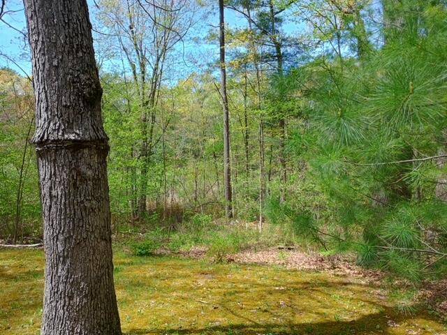Brooks Twp, MI 49337,947 E 88th Street
