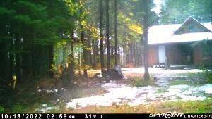 Hulbert Twp, MI 49748,00 S Hendrie River Road