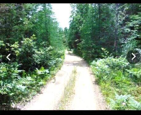Hulbert Twp, MI 49748,00 S Hendrie River Road