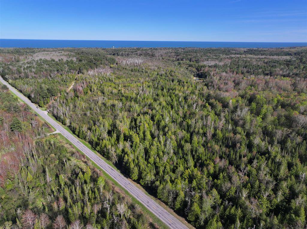 Harrisville Twp, MI 48740,V/L 60A E Walker Road