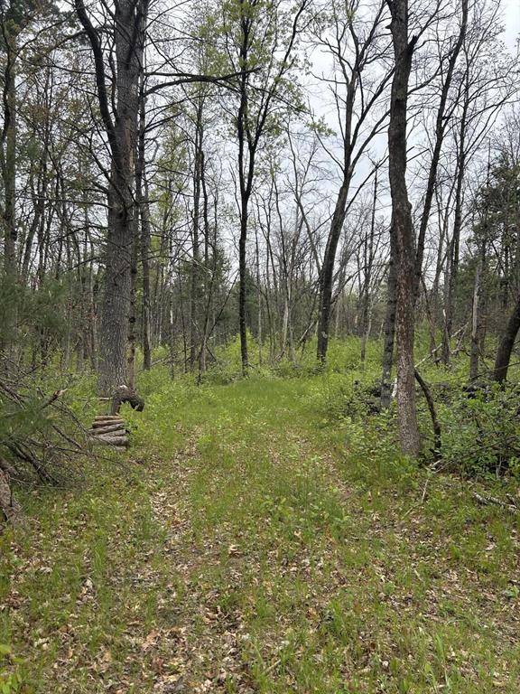 Pleasant Plains Twp, MI 49304,6986 W Baldwin Road