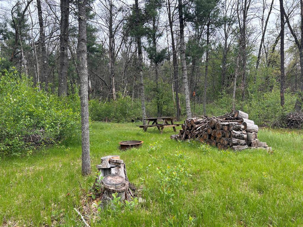 Pleasant Plains Twp, MI 49304,6986 W Baldwin Road