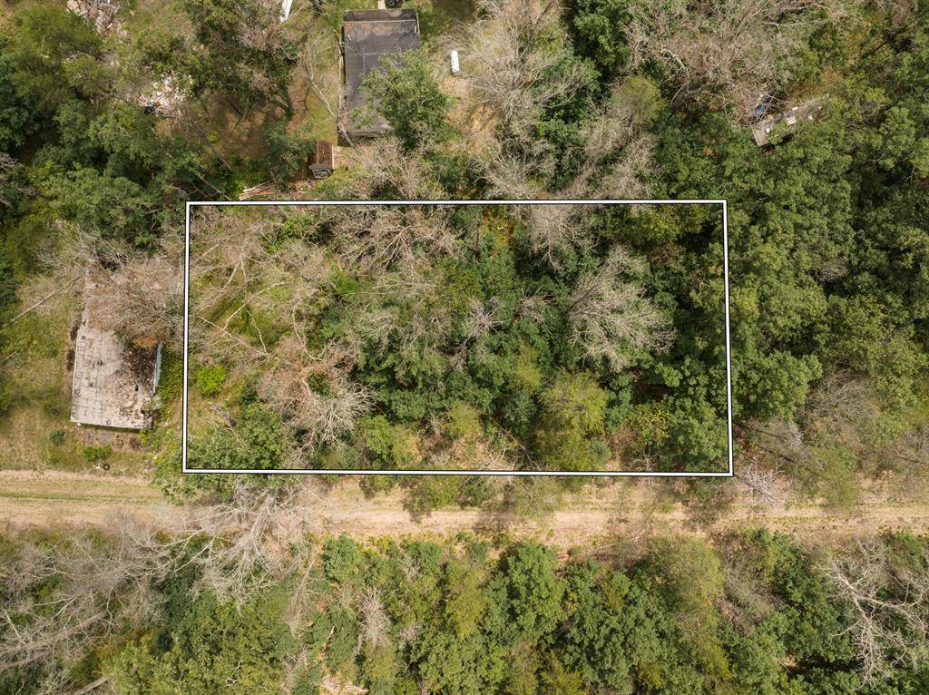 Pleasant Plains Twp, MI 49642,00 St Louis