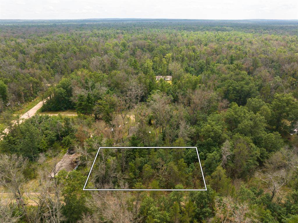 Pleasant Plains Twp, MI 49642,00 St Louis