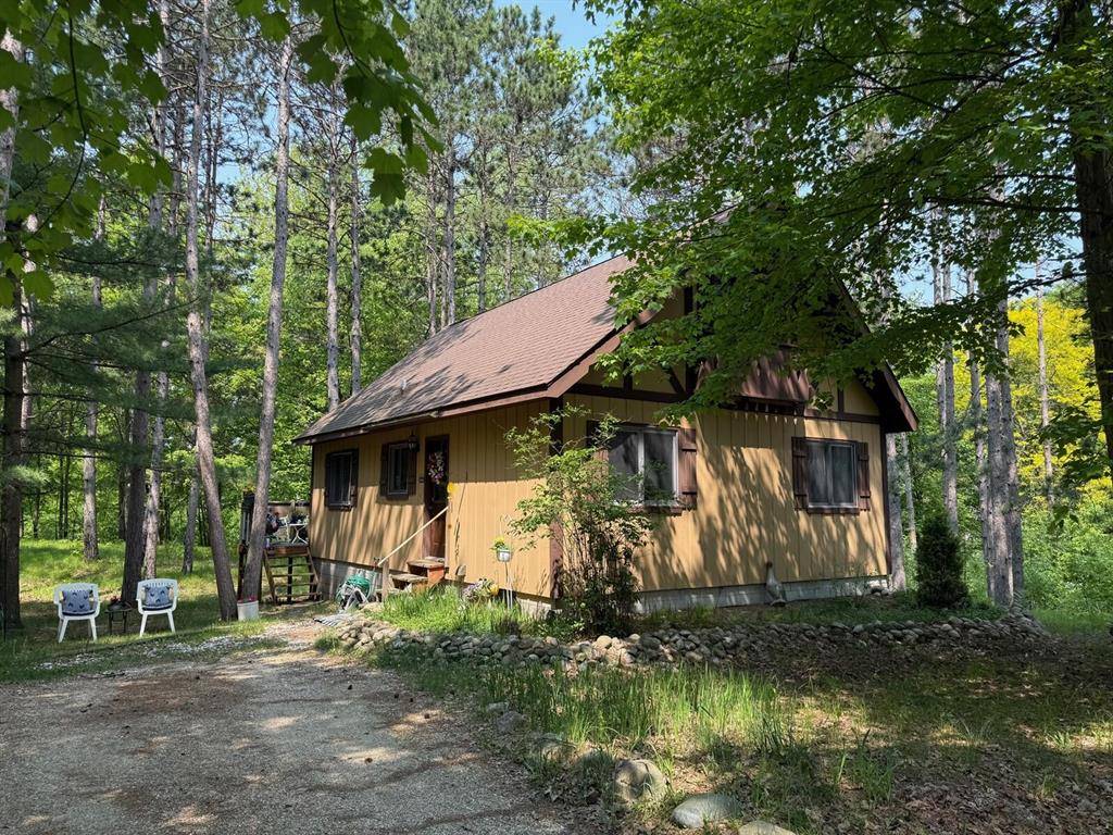 Austin Twp, MI 49346,12480 Lone Wolf Trail