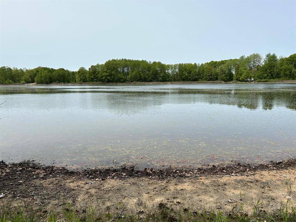 Wheatland Twp, MI 49340,11965 55th Avenue