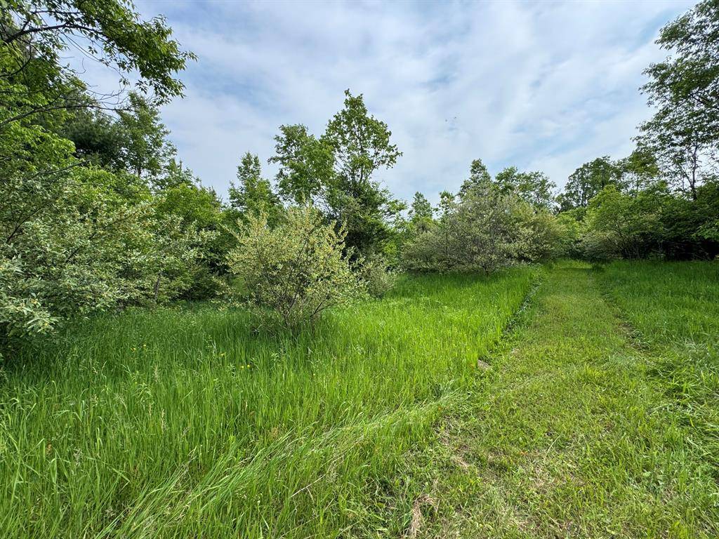 Burdell Twp, MI 49688,V/L 200th Ave