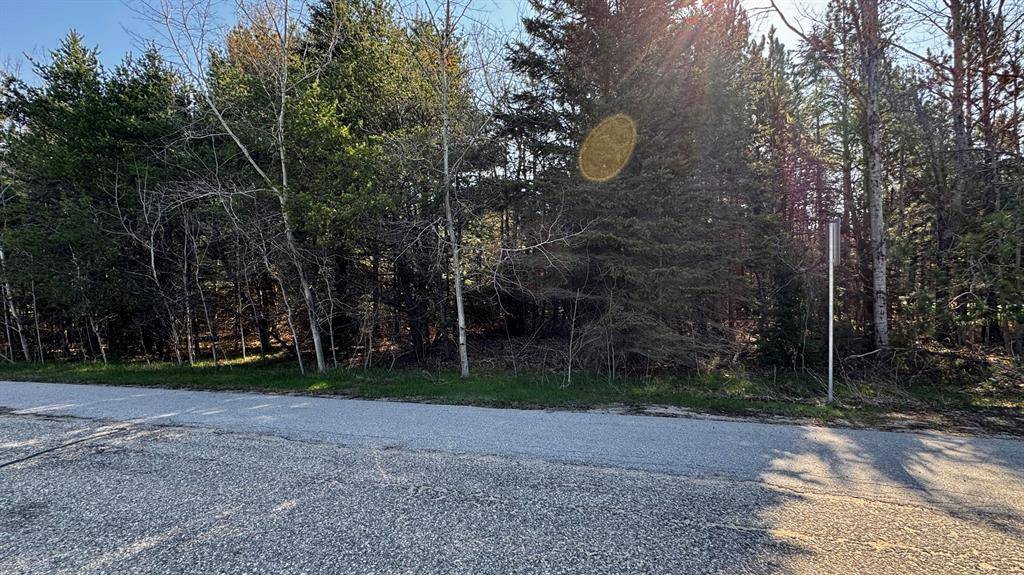 Cherry Grove Twp, MI 49601,Lot 8 Whitetail Drive