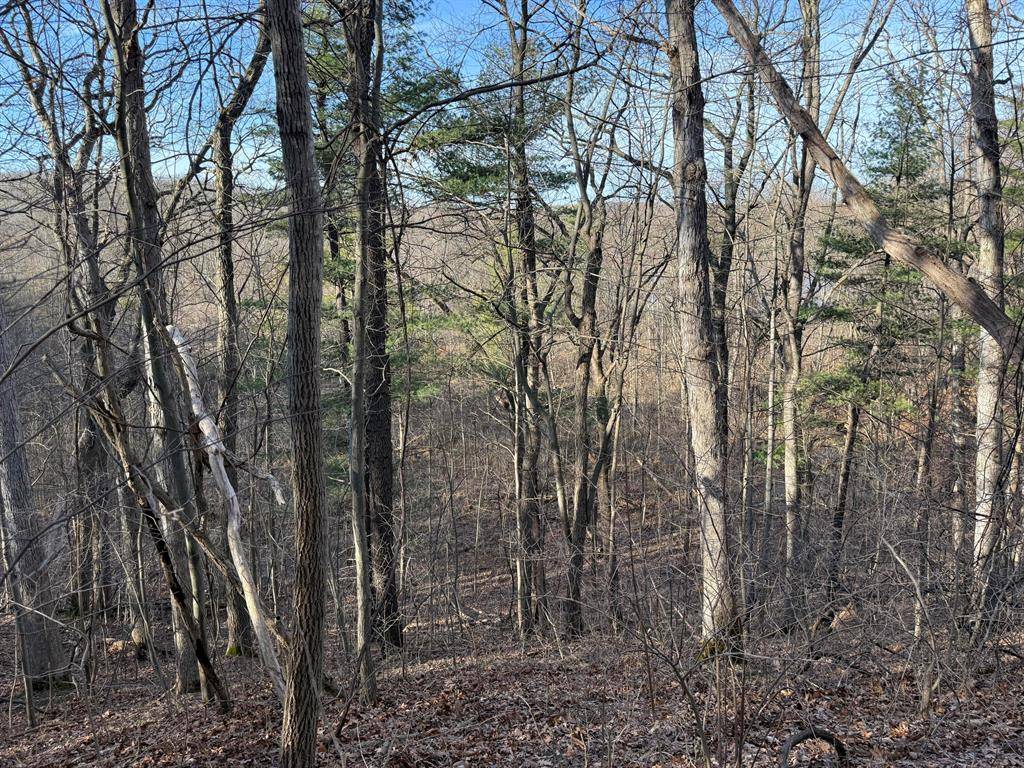 Dryden Twp, MI 48428,5950 S Lake George Road Road