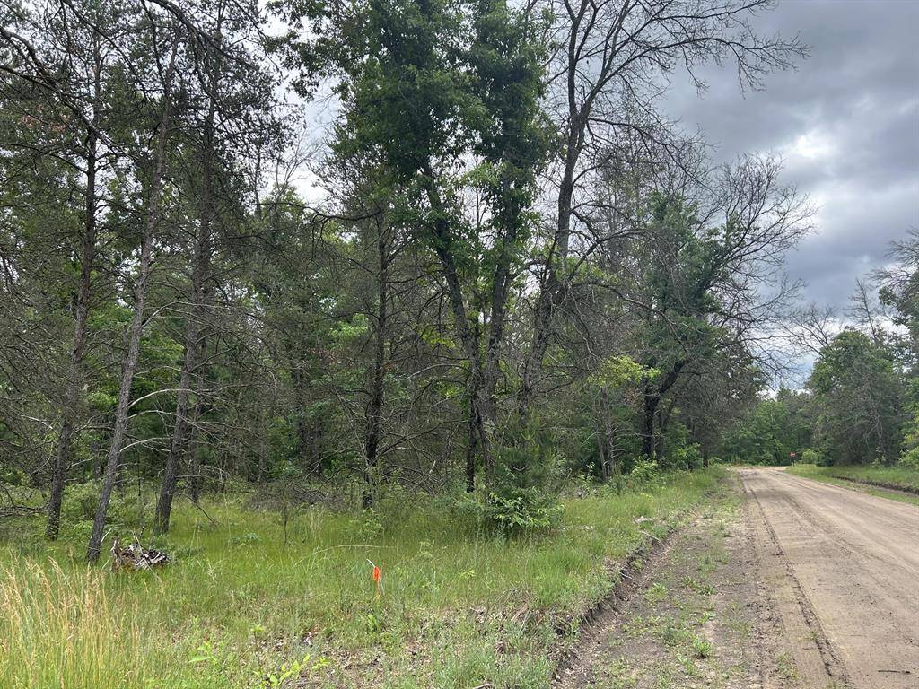 Pleasant Plains Twp, MI 49304,V/L S Dillard Street