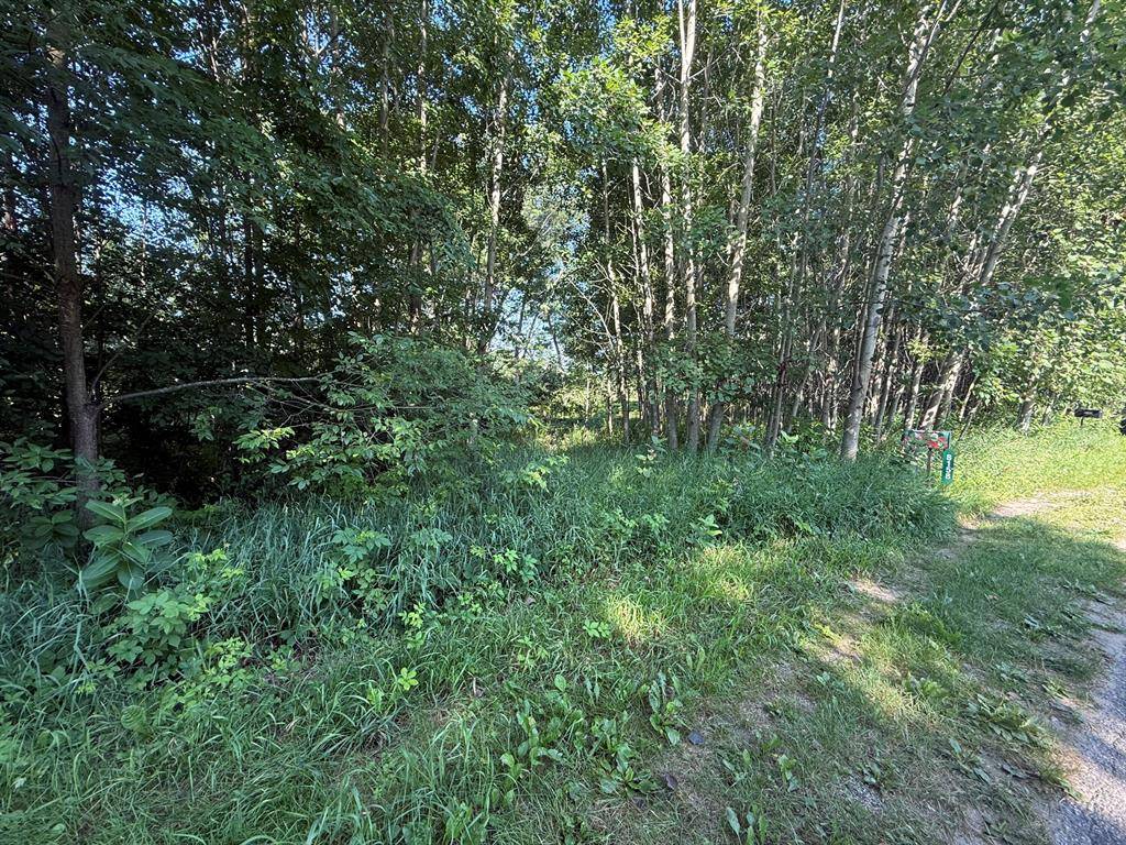 Morton Twp, MI 49346,TBD W Royal Road 2
