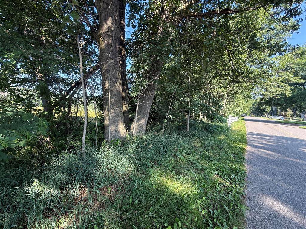 Morton Twp, MI 49346,TBD W Royal Road 2