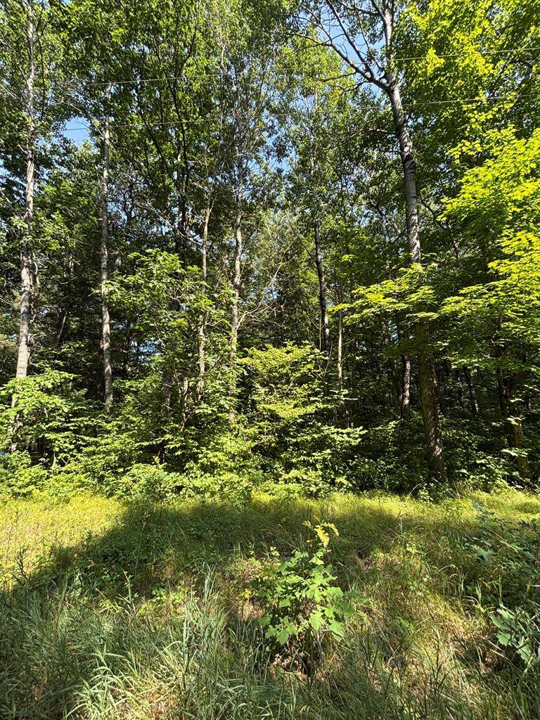 Hersey Twp, MI 49639,3628 Indian Trail Crossing