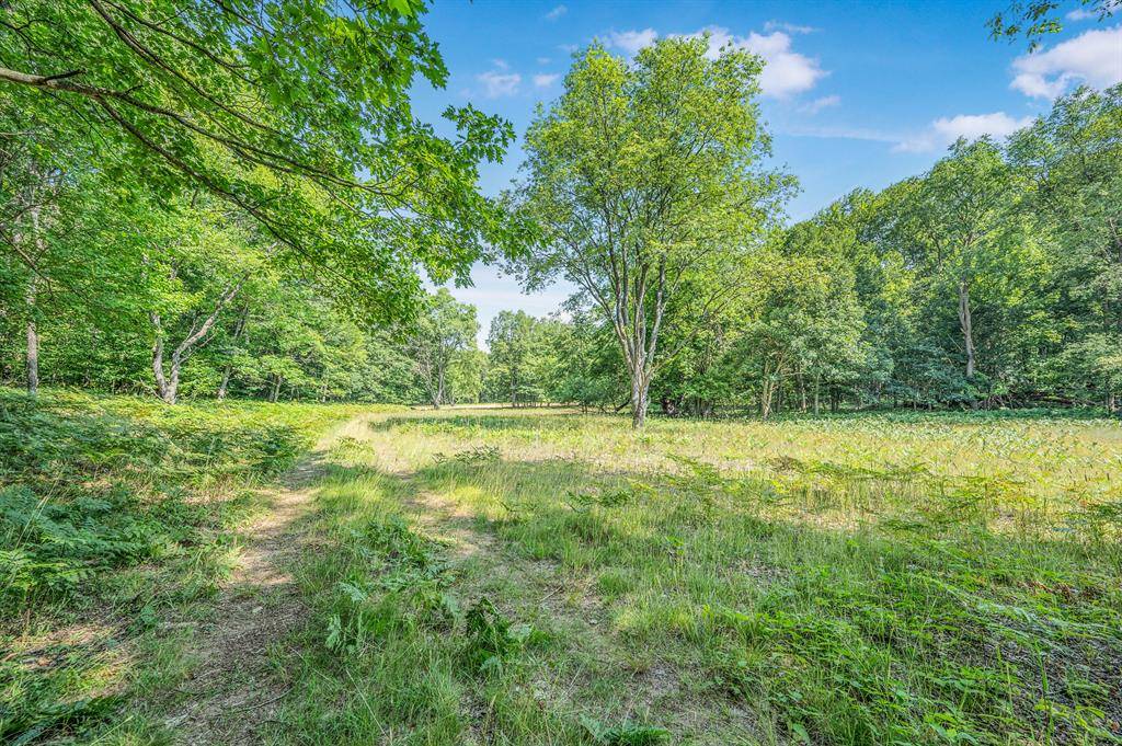 Grant Twp, MI 49639,V/L 120th Ave
