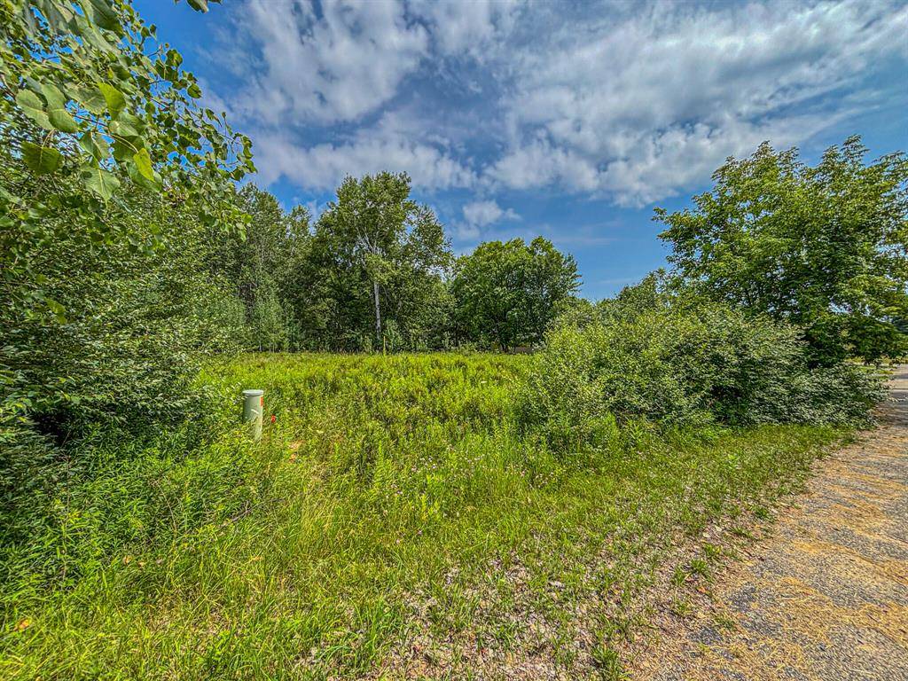 Morton Twp, MI 49346,11580 Tanglewood Trail S. #24