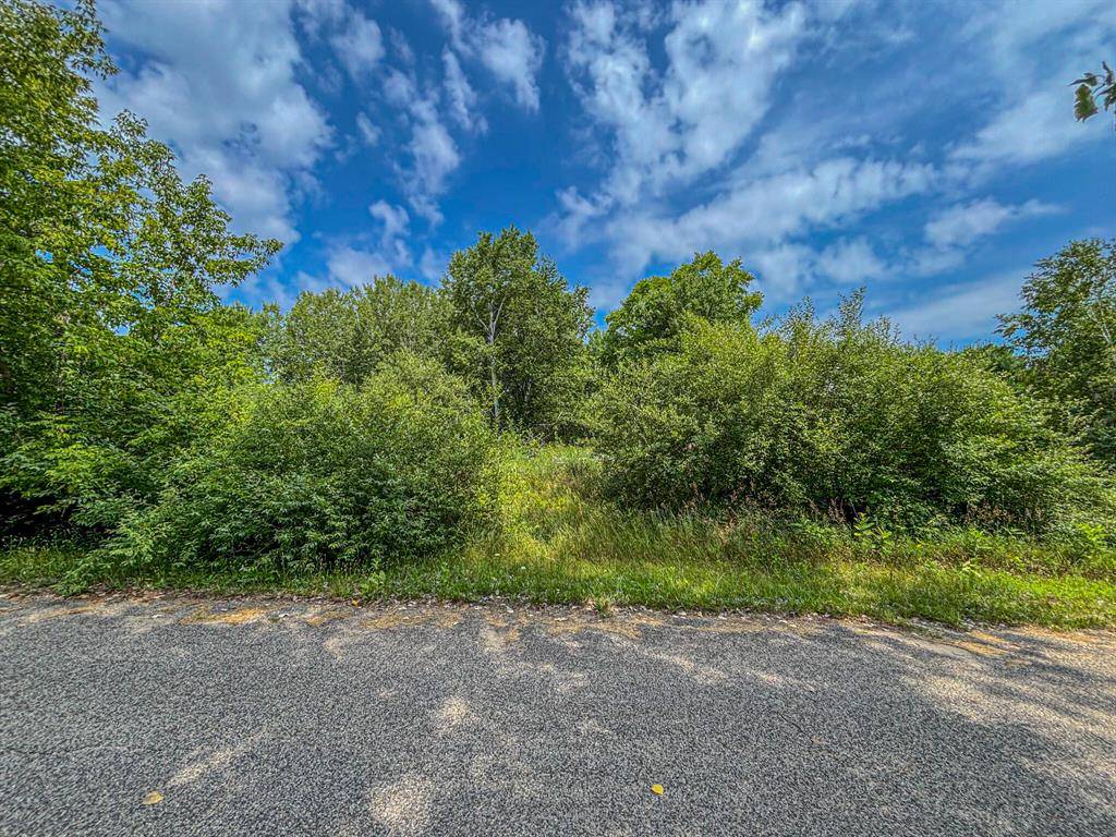 Morton Twp, MI 49346,11580 Tanglewood Trail S. #24