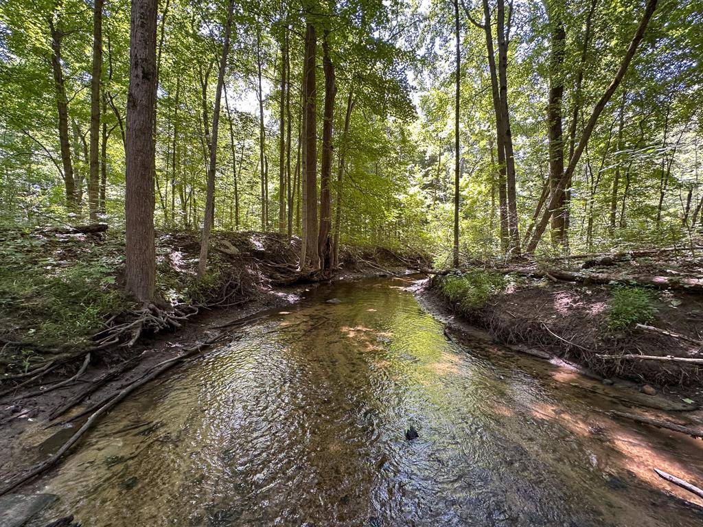 Forest Twp, MI 48463,10347 Irish Road