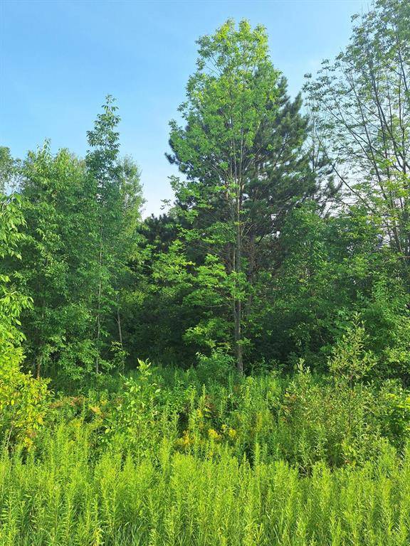 Leroy Twp, MI 49655,000 14 Mile Rd