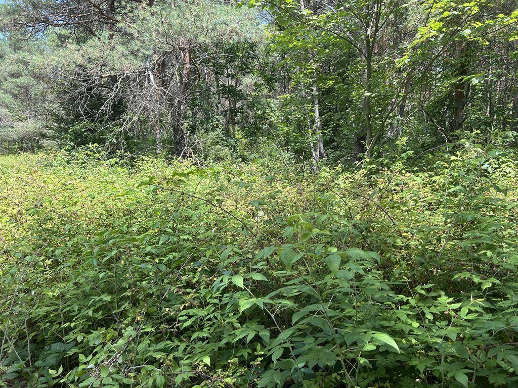 Lincoln Twp, MI 49677,v/l Old Rugged Lane