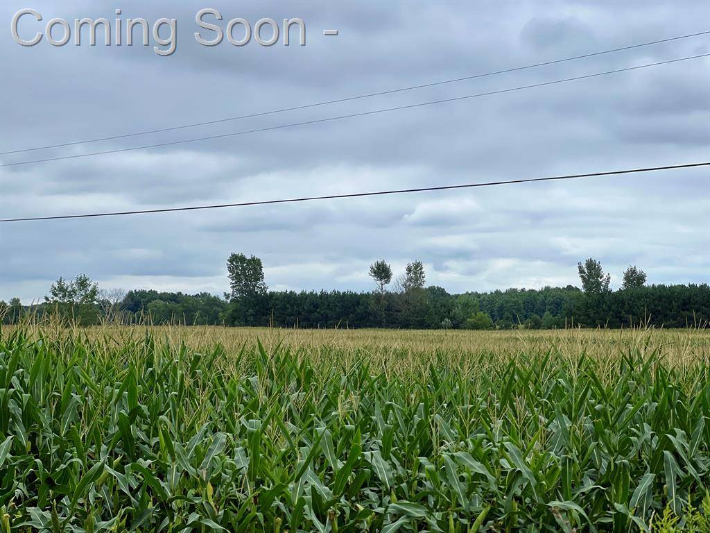 Sheridan Twp - Newaygo, MI 49412,0 W 80th W