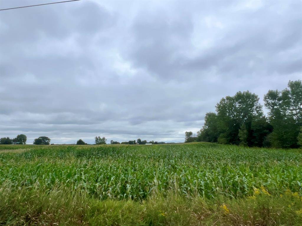 Sheridan Twp - Newaygo, MI 49412,0 W 80th W